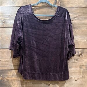 We The Free Velvet Sweatshirt in Rich Purple